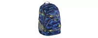 Buy Coocazoo school backpacks online